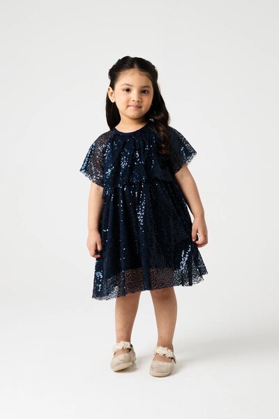 Midnight Sparkle Navy Net Dress
