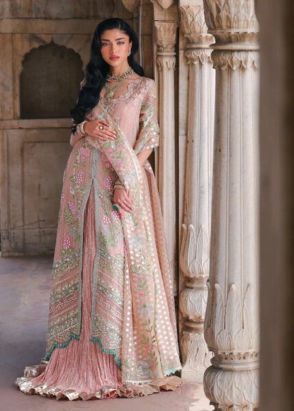 Saira Shakira Unstitched Embroidered Organza 3 Piece Suit SSR26UW Zinnia - Wedding Collection