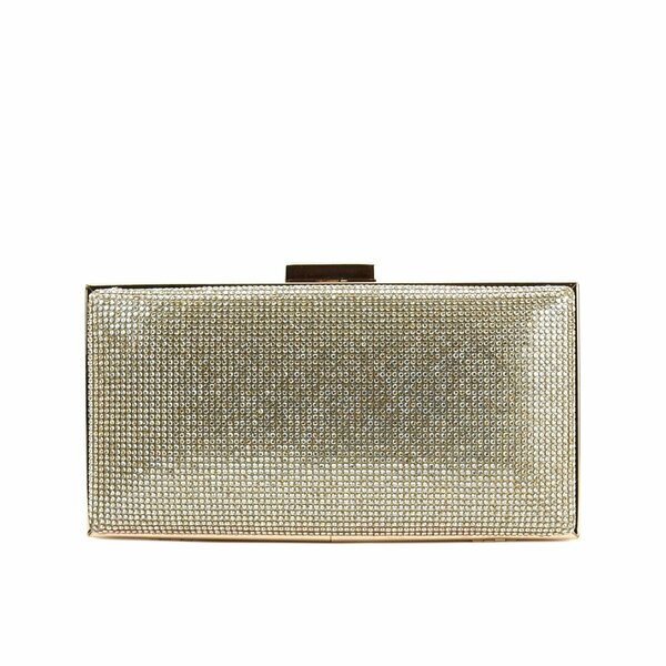 Women Clutch - 15497B