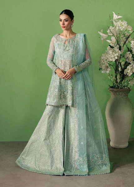 Pehli Nazar by Ayzel Embroidered Organza Suits Unstitched 3 Piece AAFPZ25 D-04 Zarbaaf - Formals Collection