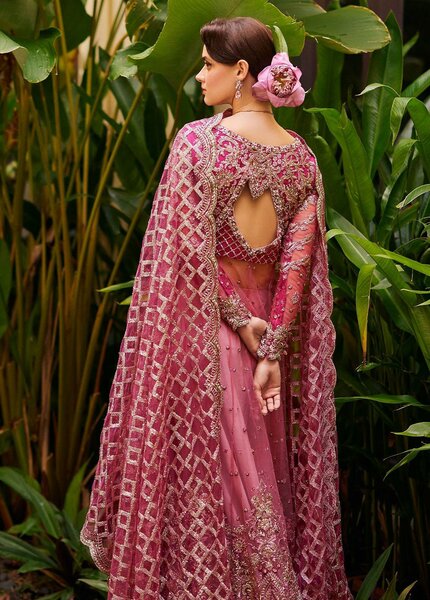 Stardust By Mushq Embroidered Net Suits Unstitched 4 Piece MQ23SD MW23-07 Cupid - Wedding Collection