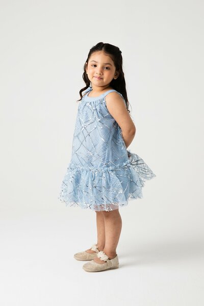 Shimmery Mist Bow Net Dress