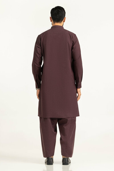 Regular Fit Embroidered Suits