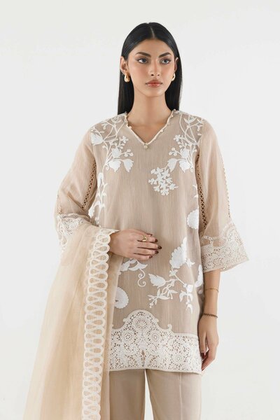 Stitched Embroidered Muzlin Suit