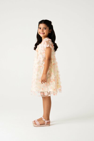 Blush Blossom Net Dress