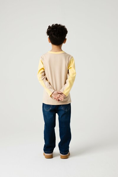 Boys Butterstone Color-Block Tee