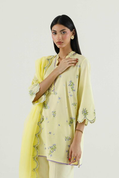 Stitched Embroidered Lawn Suit