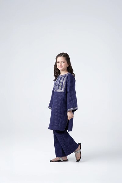 Royal Jacquard Fancy Suit - 2pc