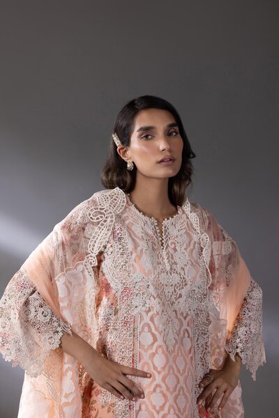 Stitched Embroidered Organza & Net Dupatta