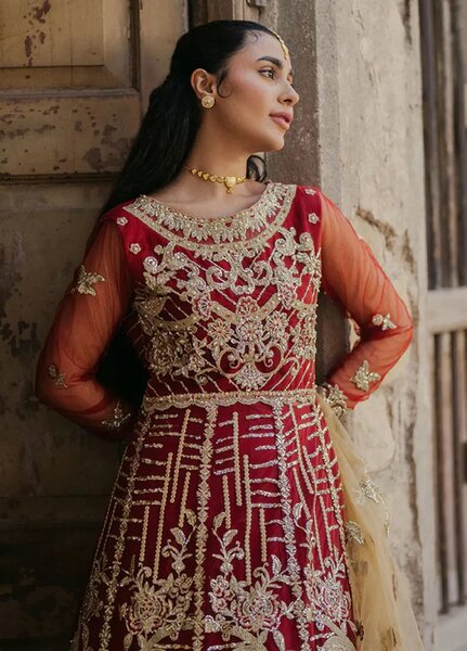 Roheenaz Embroidered Net Suits Unstitched 3 Piece RNZ24PSM Jabeen - Wedding Collection