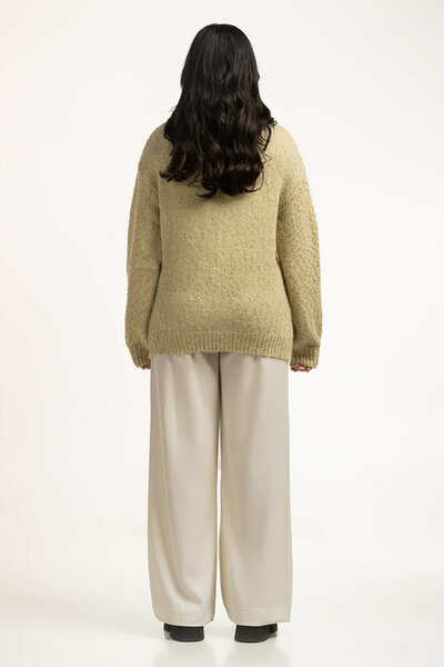 Women Sweater Regular Fit