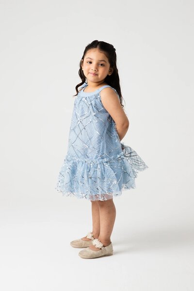 Shimmery Mist Bow Net Dress
