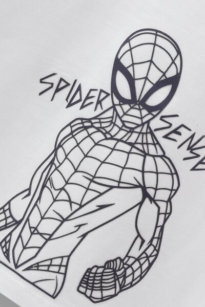 Spiderman Relaxed Tee