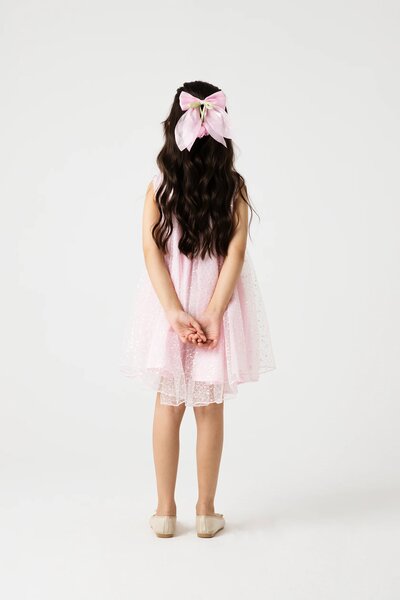 Blush Sparkle Net Dress