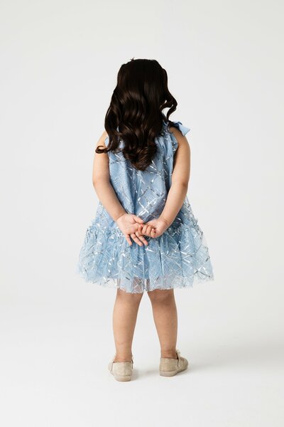 Shimmery Mist Bow Net Dress