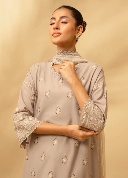 Zouj Chikankari Lawn Suits Unstitched 3 Piece ZJ25CL D-07 Frosted Silver - Summer Collection