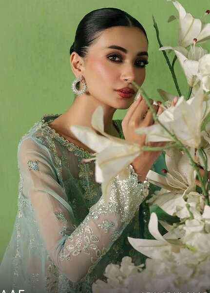 Pehli Nazar by Ayzel Embroidered Organza Suits Unstitched 3 Piece AAFPZ25 D-04 Zarbaaf - Formals Collection