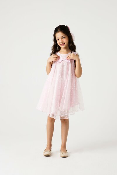 Blush Sparkle Net Dress