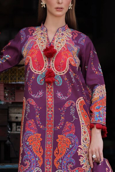 3 Piece Printed Khaddar Suit