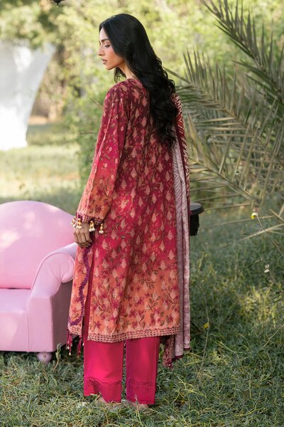 3 Piece Printed Khaddar Suit