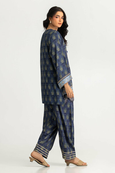 Viscose Raw Silk Printed Co-Ord Set With Embroidered