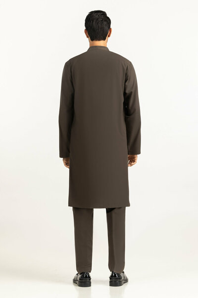 Regular Fit Embroidered Suits