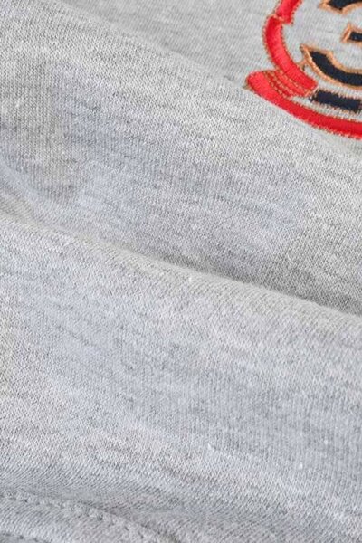 Polo Republica Men's Bear & 3 Mallet Printed Zipper Hoodie
