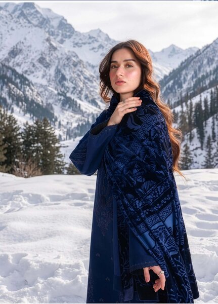 Carnation by Rang Rasiya Unstitched Embroidered Karandi 3 Piece Suit RR26UKW NOX - Winter Collection