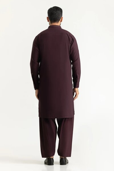 Regular Fit Embroidered Suits