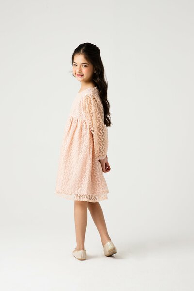 Peach Petal Yoke Net Dress