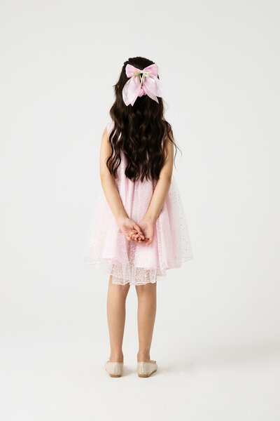 Blush Sparkle Net Dress