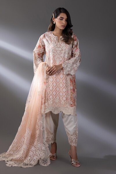 Stitched Embroidered Organza & Net Dupatta