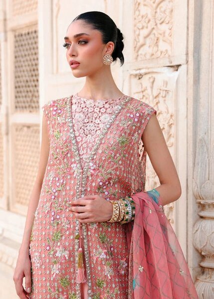 Saira Shakira Unstitched Embroidered Organza 3 Piece Suit SSR26UW Daphne - Wedding Collection