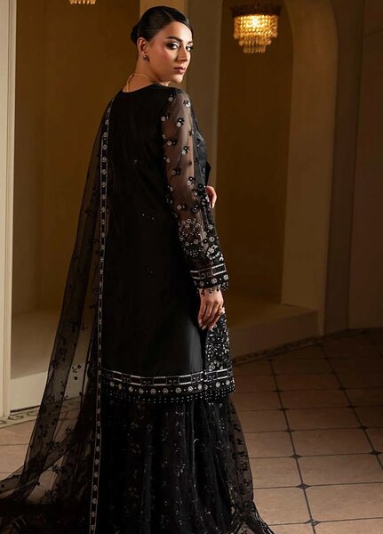 Aashnai by Lavish Embroidered Organza Suits Unstitched 3 Piece LVP24AC D-01 Charcoal Luxe - Formals Collection