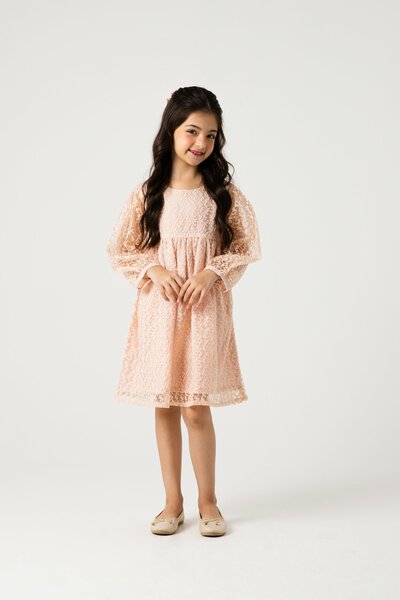 Peach Petal Yoke Net Dress