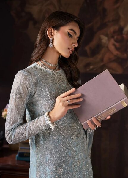 Rouge by Zarif Embroidered Net Suits Unstitched 3 Piece ZR25UF ZRW 07 Cynthia - Wedding Collection
