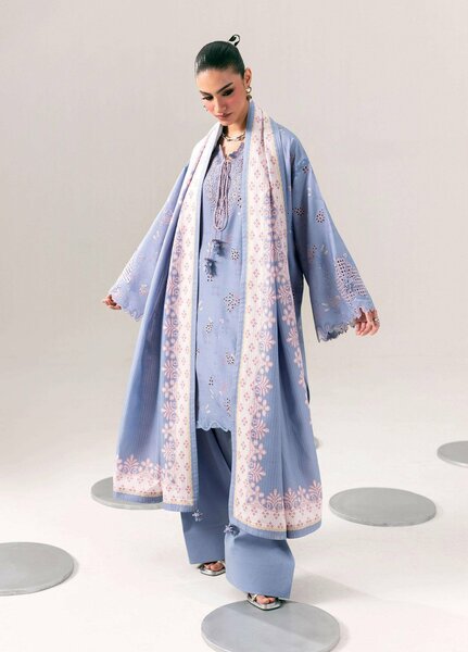 Q prints by Qalamkar Unstitched Embroidered Slub Linen 3 Piece Suit QLK26ULQ Beena QPW-06A - Winter Collection