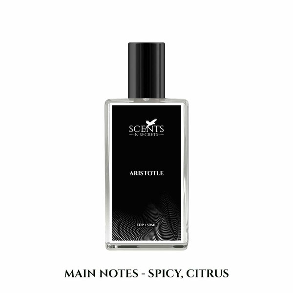 Aristotle For Men