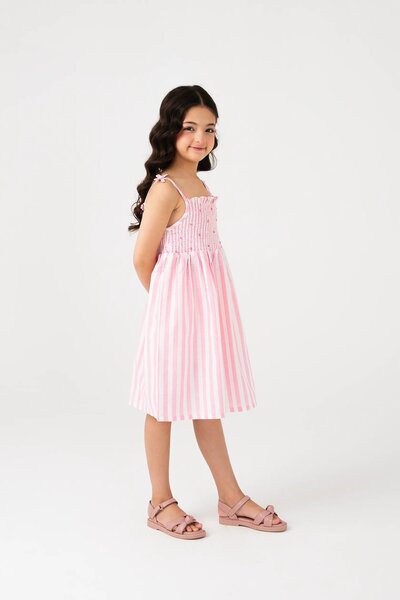 Blush Stripe Blossom Dress