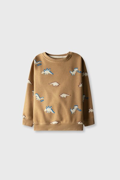 Boys Dino Trail Brown Fleece Sweatshirt