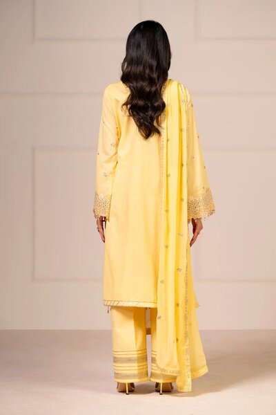 RTS | SHIRT, TROUSER & DUPATTA