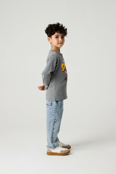 Boys Spidey Grey Hero Tee
