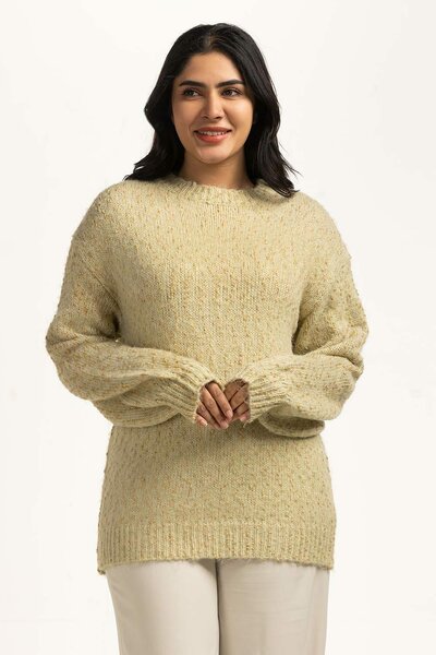 Women Sweater Regular Fit
