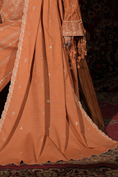 3 Piece Embroidered Kantha Stripe Suit