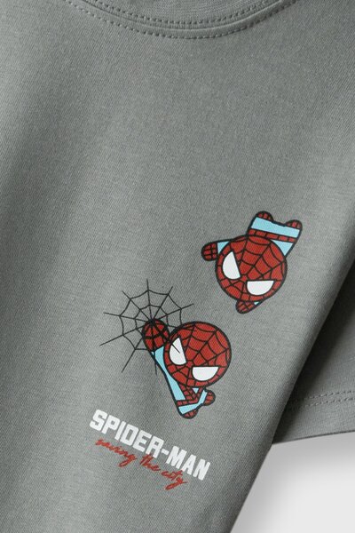 Boys Action Spider Grey Tee