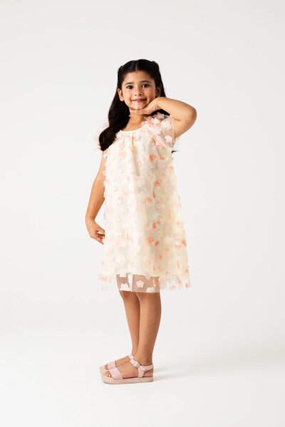 Blush Blossom Net Dress