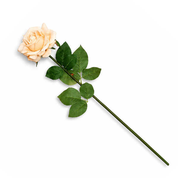 Rose Peach Flower Stem