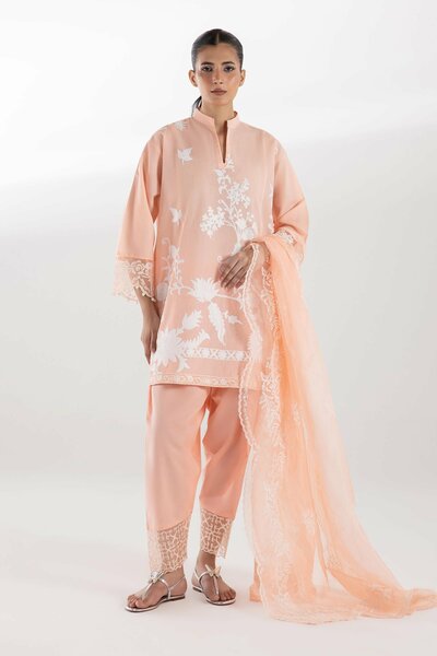 Stitched Muzlin Lawn Suit