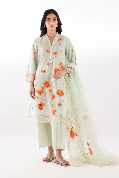 Stitched Embroidered Woven Net Dupatta