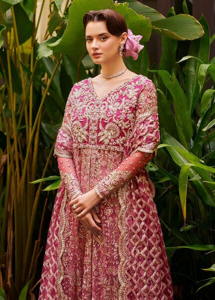 Stardust By Mushq Embroidered Net Suits Unstitched 4 Piece MQ23SD MW23-07 Cupid - Wedding Collection
